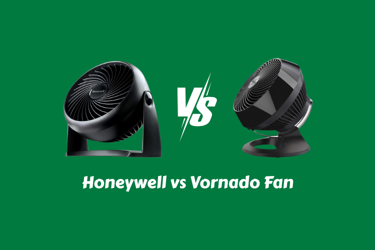 Honeywell vs Vornado Fan
