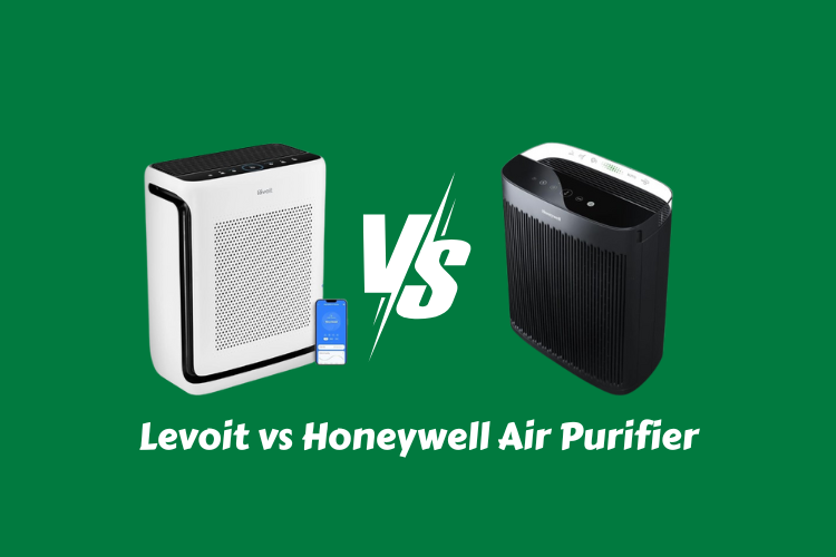 Levoit vs Honeywell Air Purifier