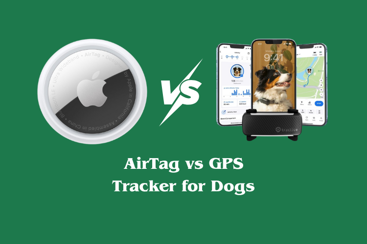 AirTag vs GPS Tracker for Dogs