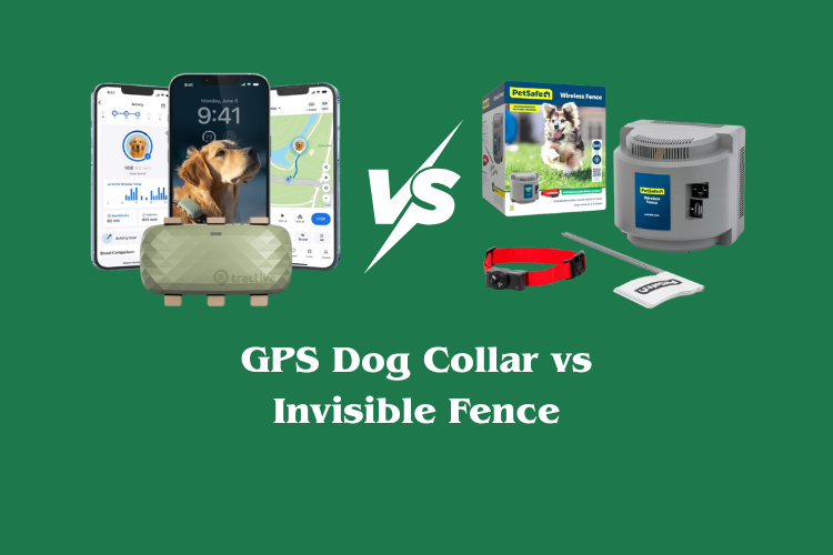 GPS Dog Collar vs Invisible Fence