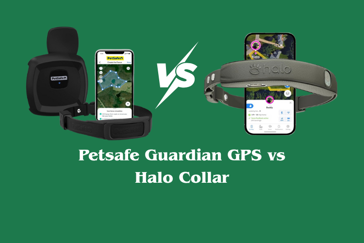 Petsafe Guardian GPS vs Halo Collar