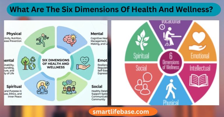 What Are The Six Dimensions Of Health And Wellness