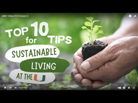Top 10 Sustainable Living Tips For Beginners
