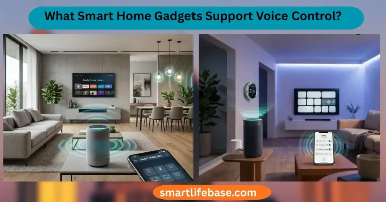 What Smart Home Gadgets Support Voice Control