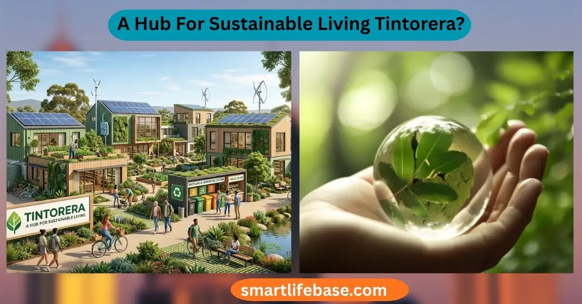 A Hub For Sustainable Living Tintorera
