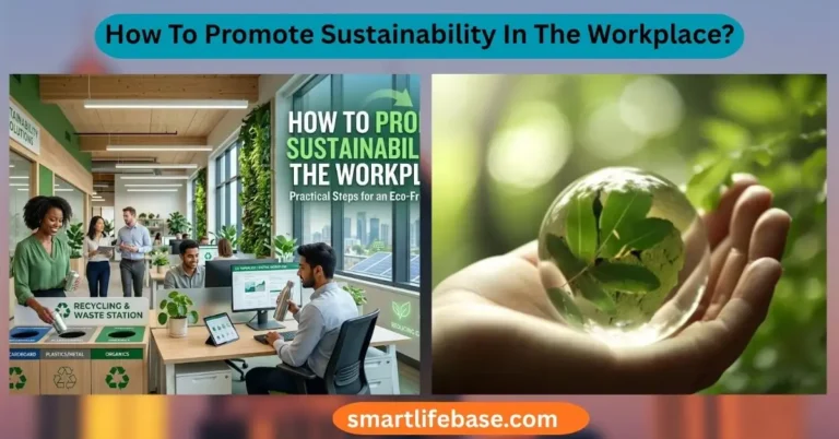 How To Promote Sustainability In The Workplace