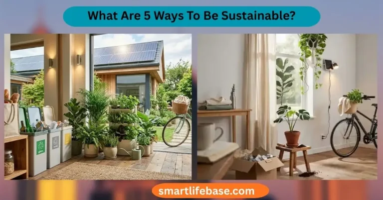 What Are 5 Ways To Be Sustainable