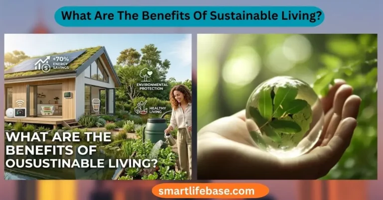 What Are The Benefits Of Sustainable Living